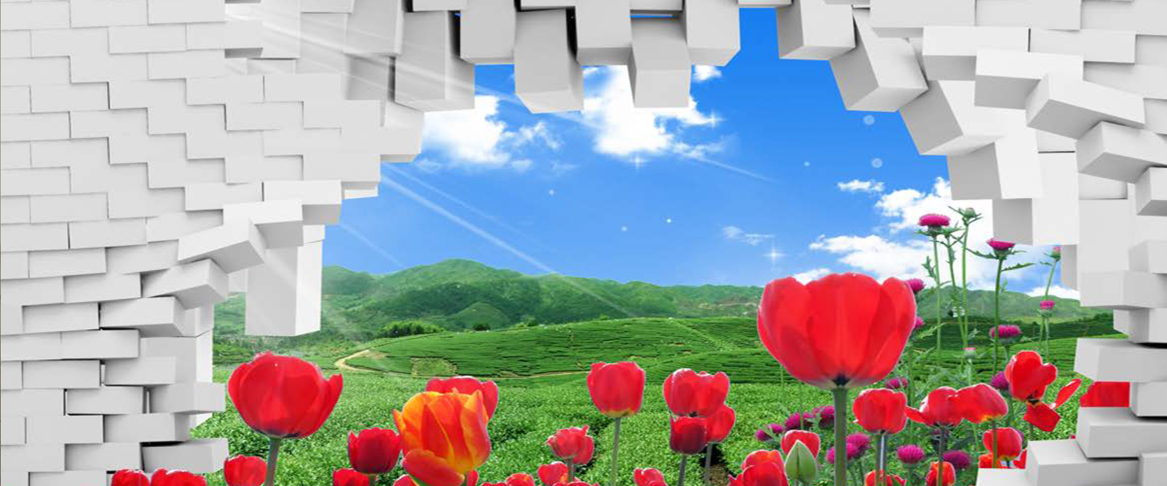 Kundu Wallpaper